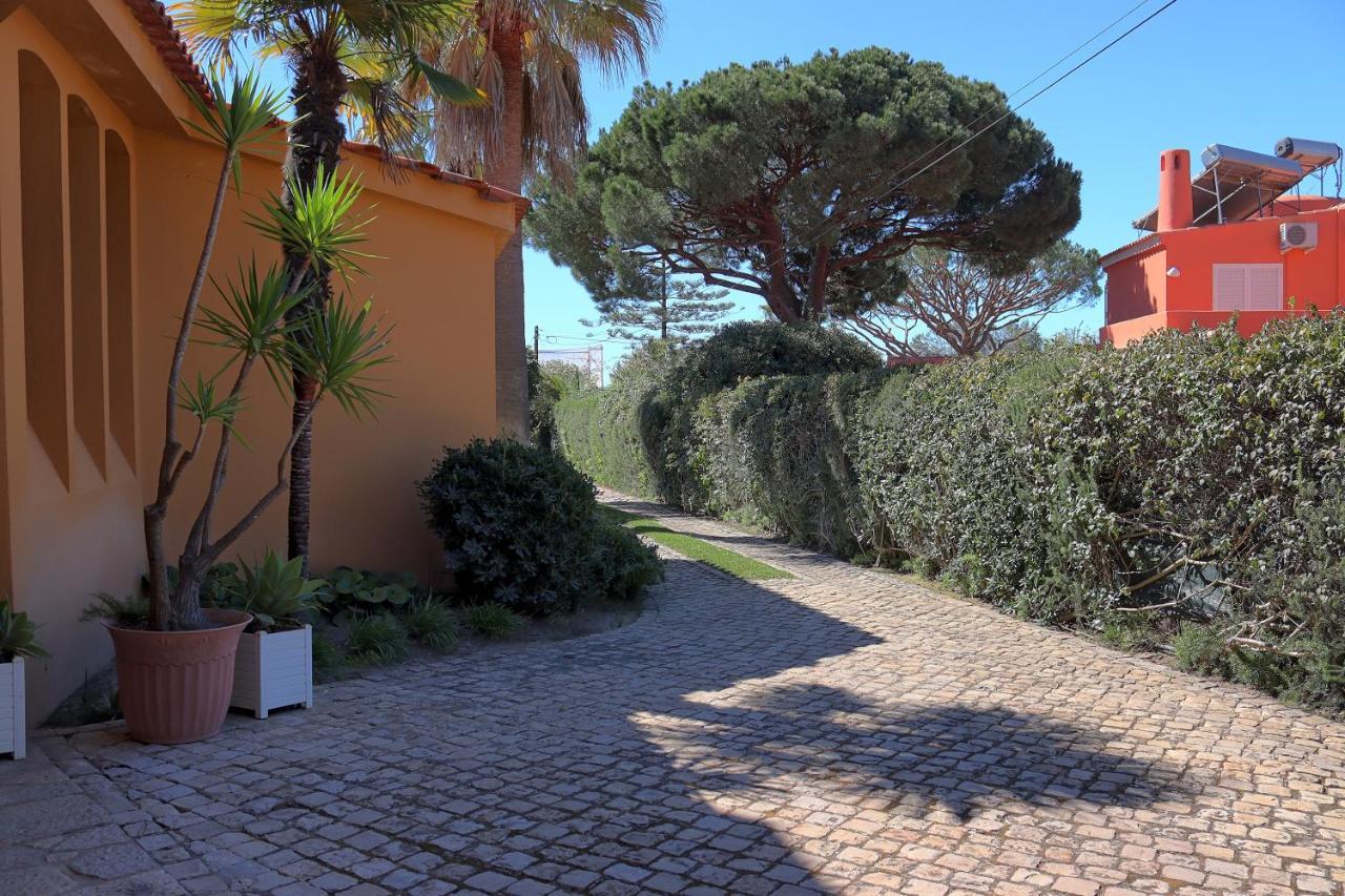 Casa Da Palmeira, Pool & Soccer Pitch ヴィラモウラ エクステリア 写真