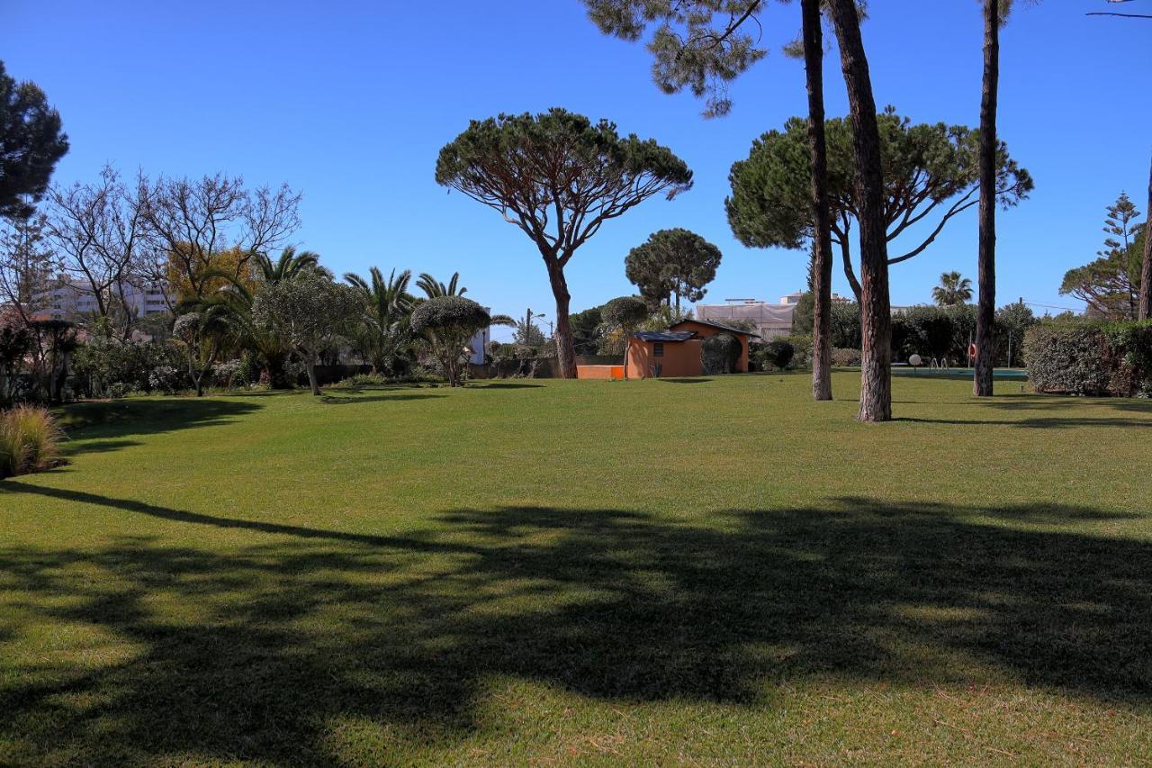 Casa Da Palmeira, Pool & Soccer Pitch ヴィラモウラ エクステリア 写真